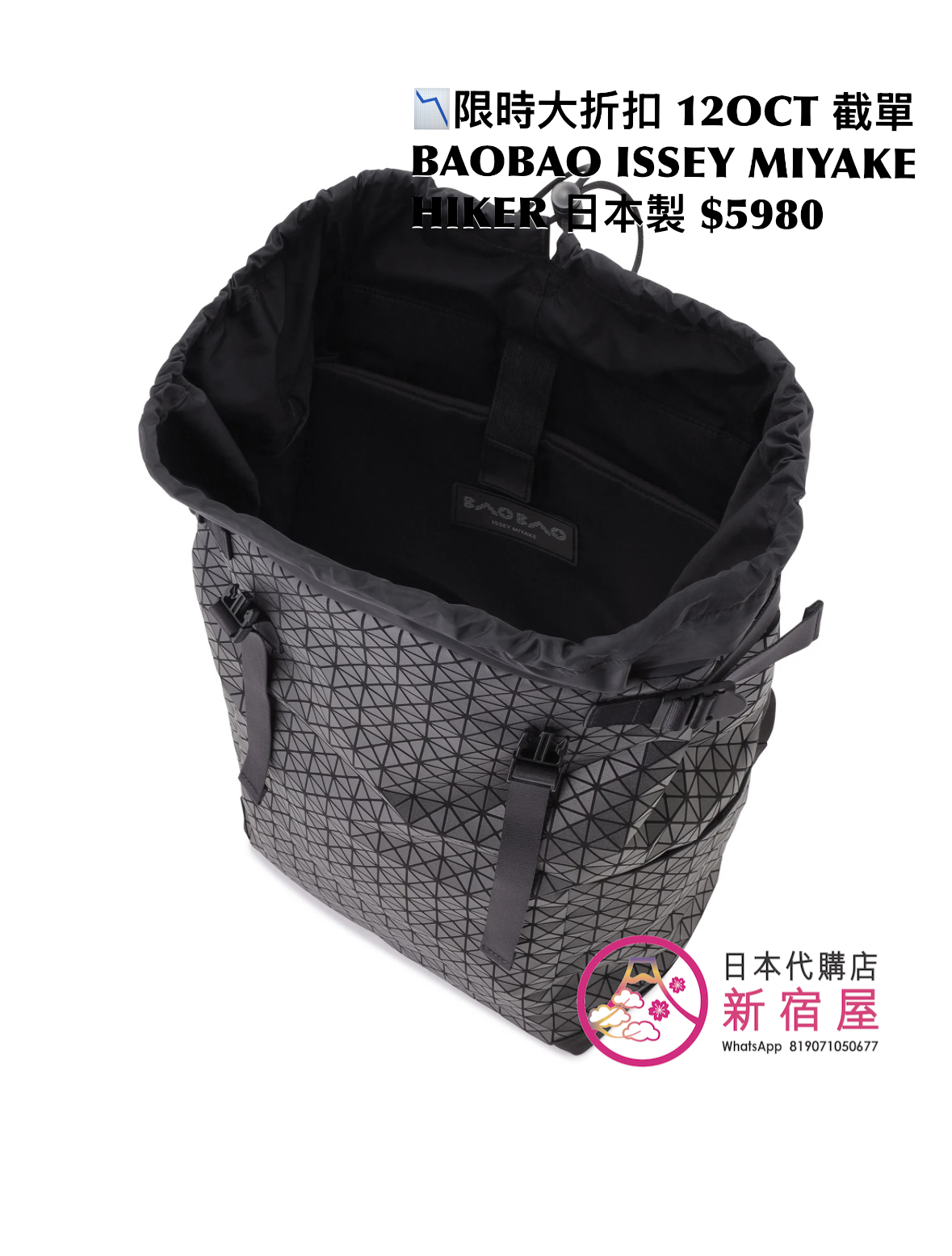BAOBAO ISSEY MIYAKE HIKER