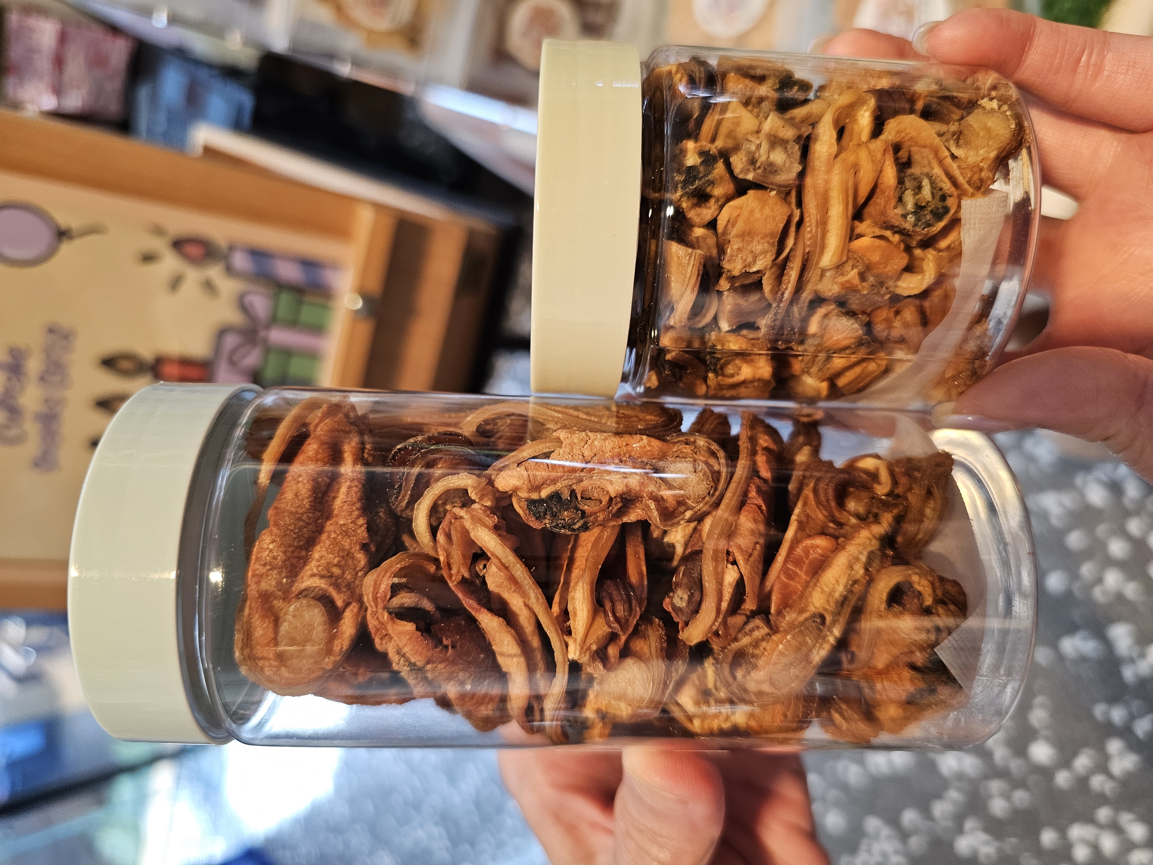 紐西蘭綠唇青口 （市集裝）