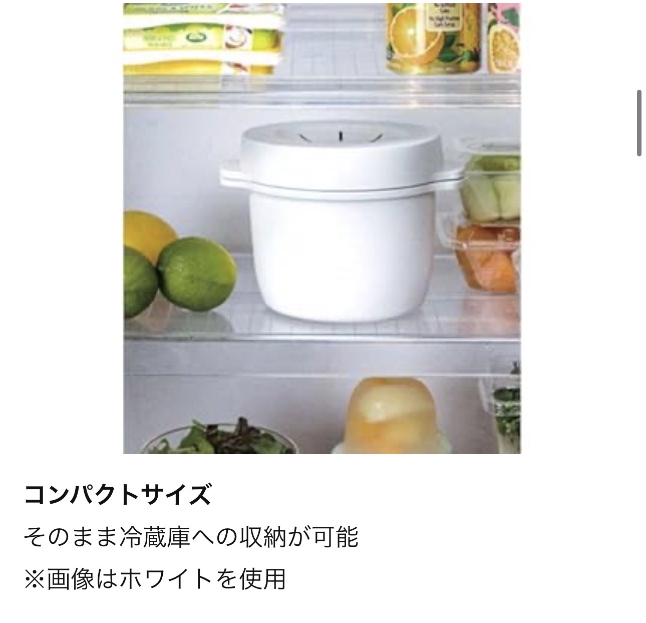 日本Skater微波爐煮飯器