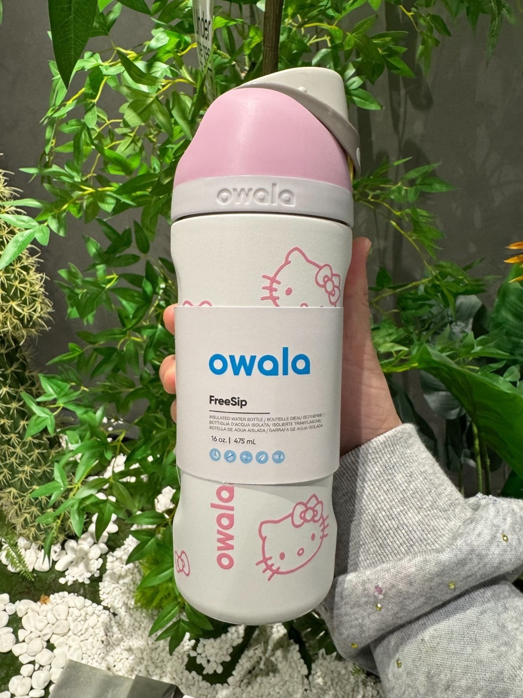 Owala × Hello Kitty 正版聯名保冷水壺 16oz 480ml 