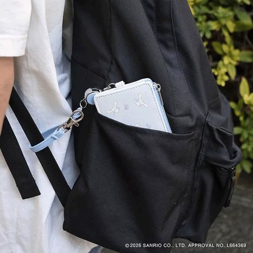 🆕【⭐訂購⭐】 🇯🇵日本直送🌀#SanrioCharacters 卡片套/捲軸散紙包［6款選］🌀[ELBD-0206][260310]