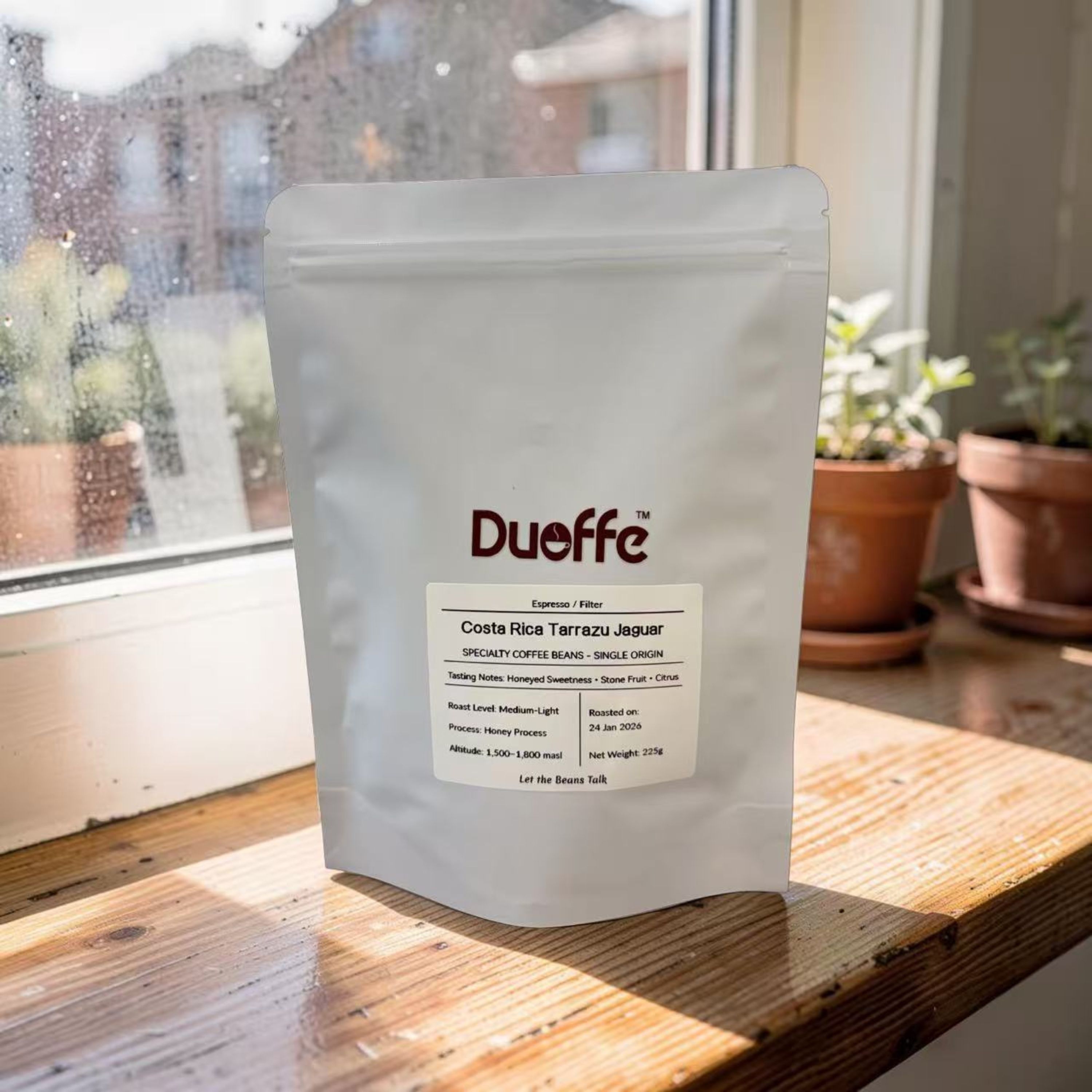 Costa Rica Tarrazu Jaguar