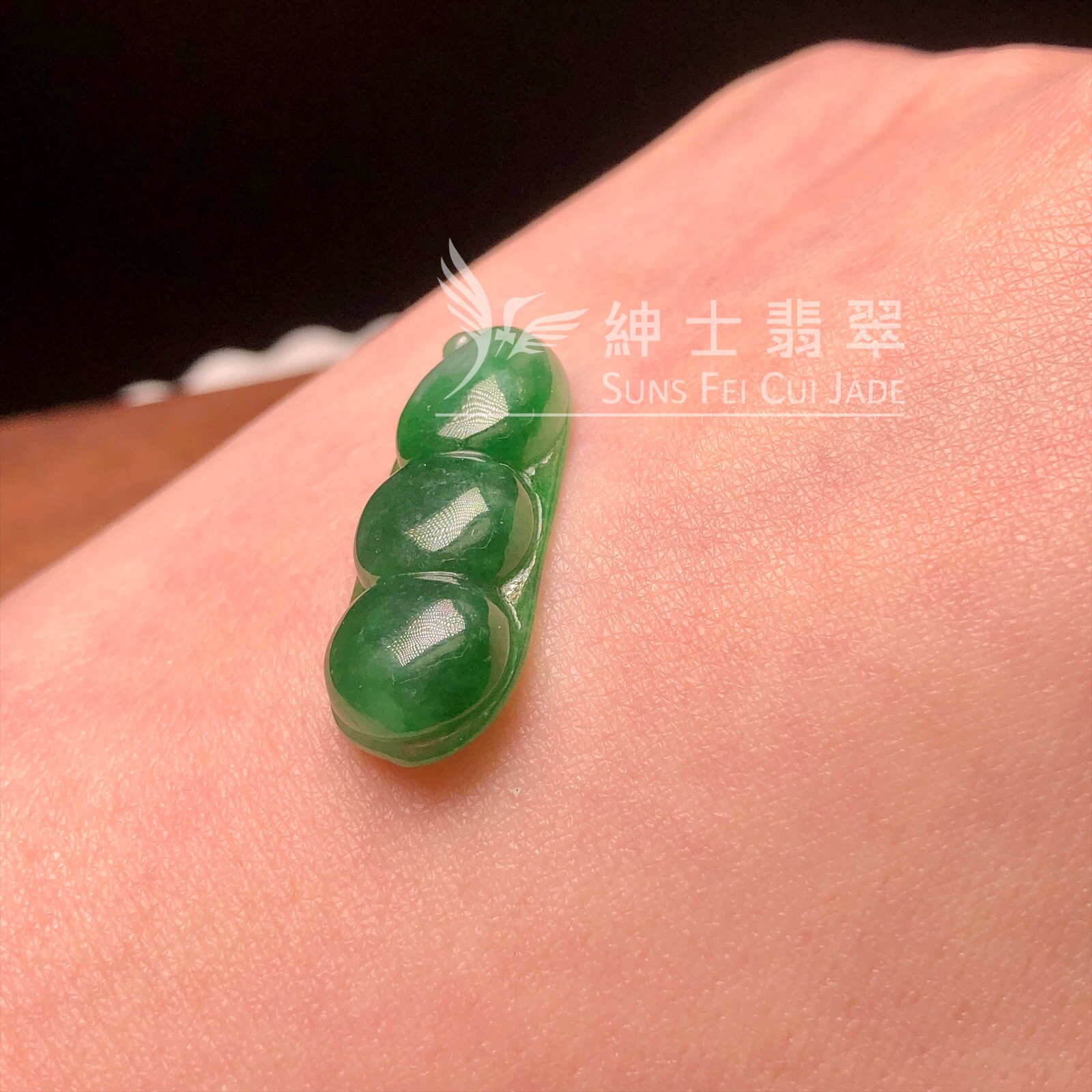 B08758 滿綠福豆