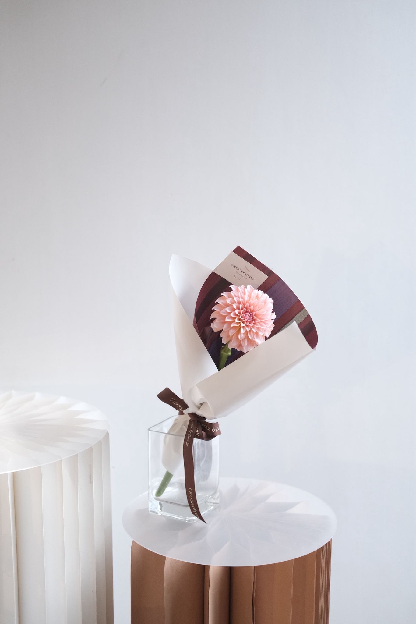 單支大理花🧡 / 康乃馨🩵 