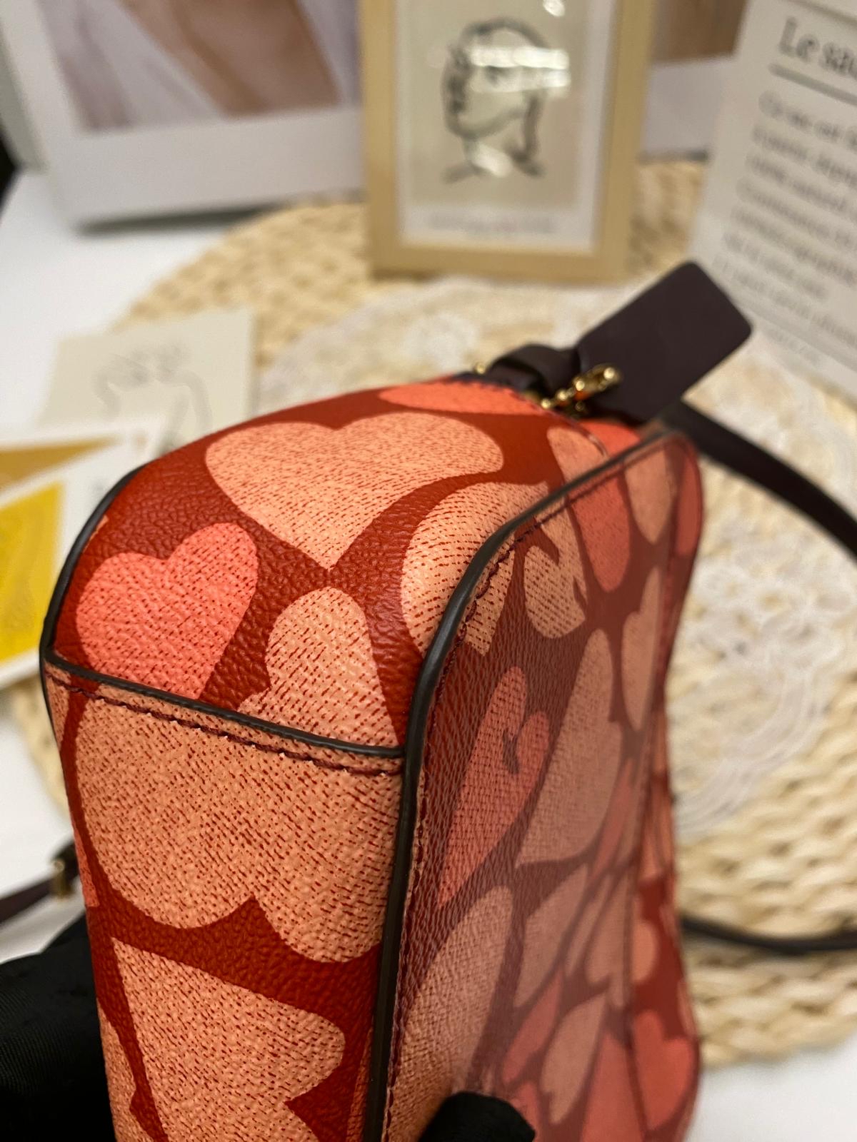 Coach Mini Camera Bag With Heart Print
