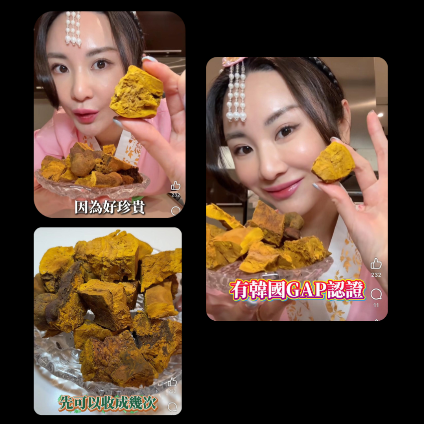 裕美推薦‼️‼️韓國🇰🇷頂級桑黃 S級 100g
