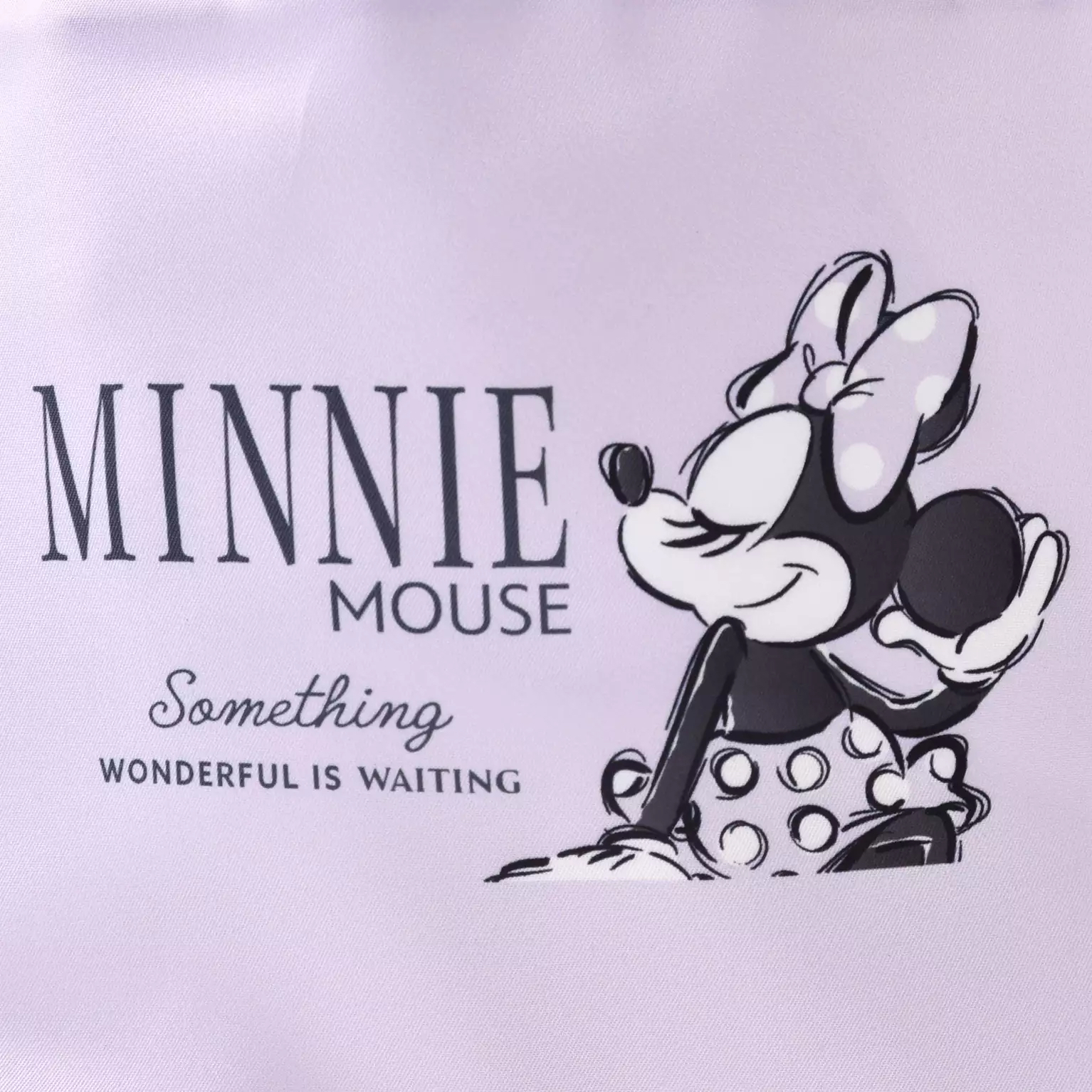 🎀【預訂】 Minnie New Lifestyle Lunch Bag 