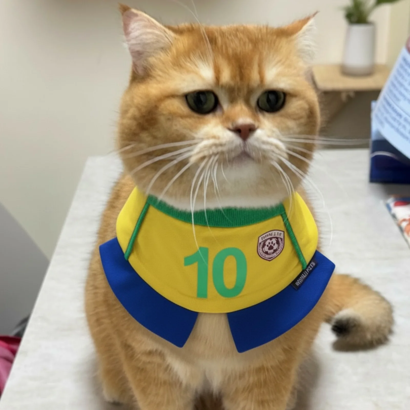 Momoji FC (1-Sao Paolo Yellow) | Pet Neckwear