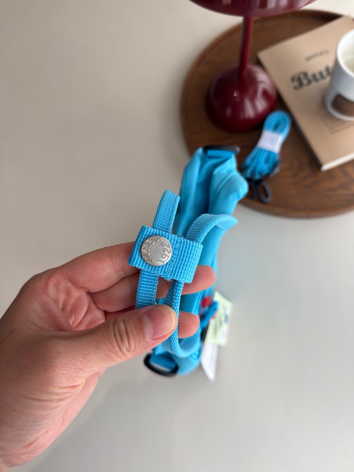 ❤️純原單❤️執到寶💕 Dickies迷你小書包清倉價帶走🎒