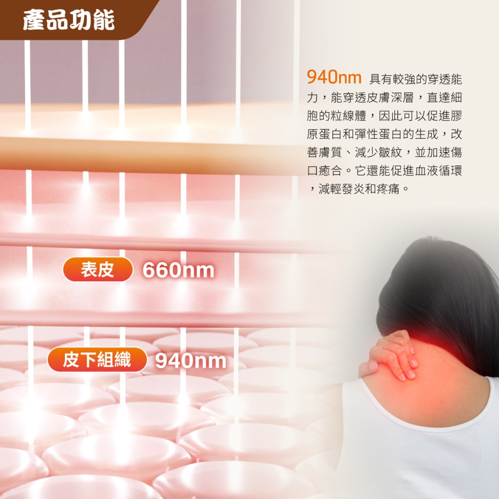 Maxcare - 頸康寶  [預計 : 7月中至尾發貨]