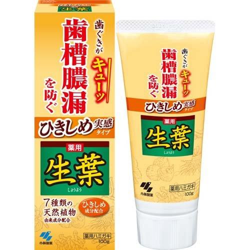 小林製藥-小林製藥生葉牙齦緊緻牙膏 100g【平行進口】
