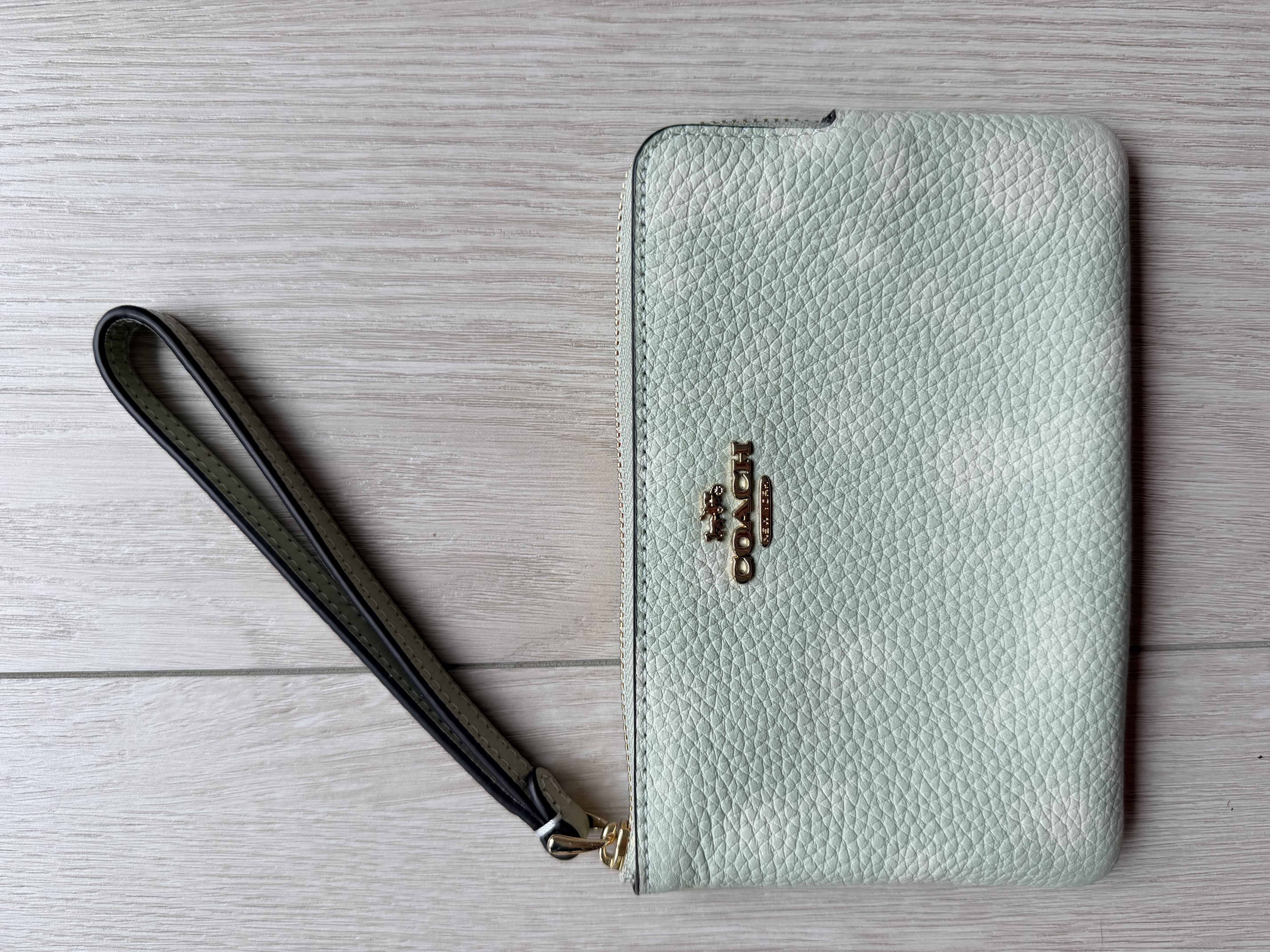 Coach Corner Zip Wristlet 單層拉鍊手拎袋仔