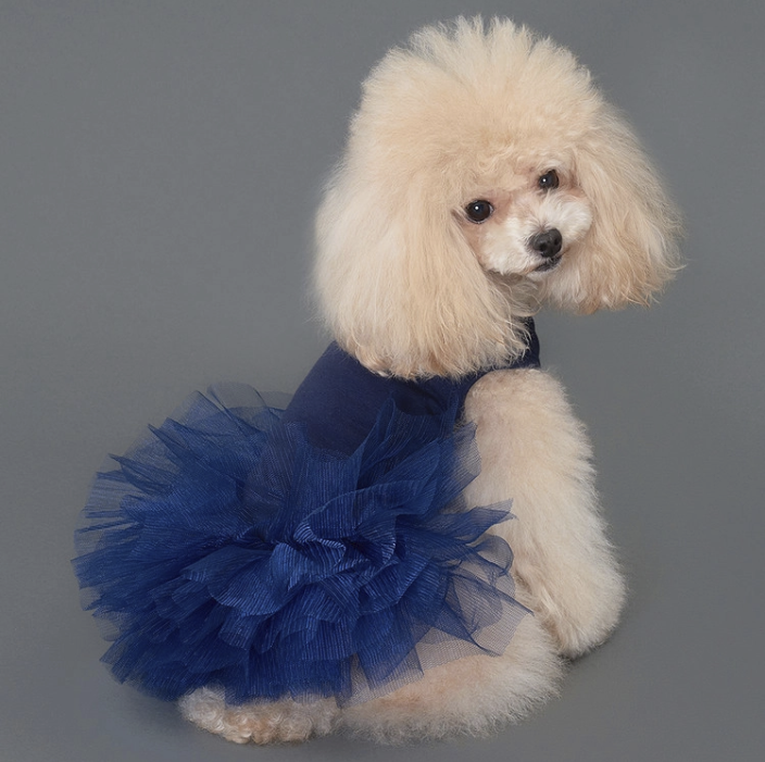 *SuperPet🇰🇷狗狗超夢幻蓬蓬蛋糕紗裙