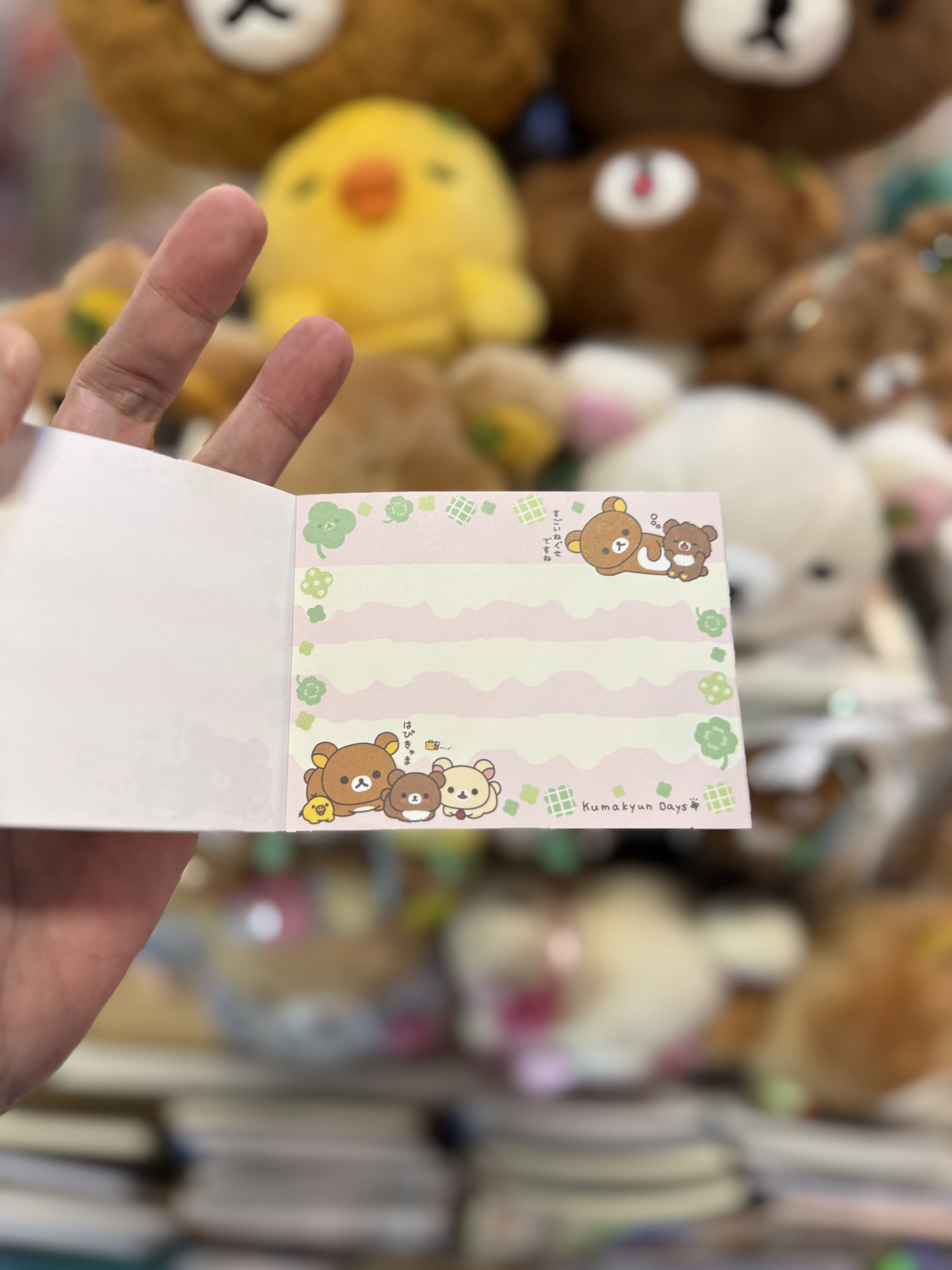 《現貨》全新小熊10週年紀念四葉草系列細memo