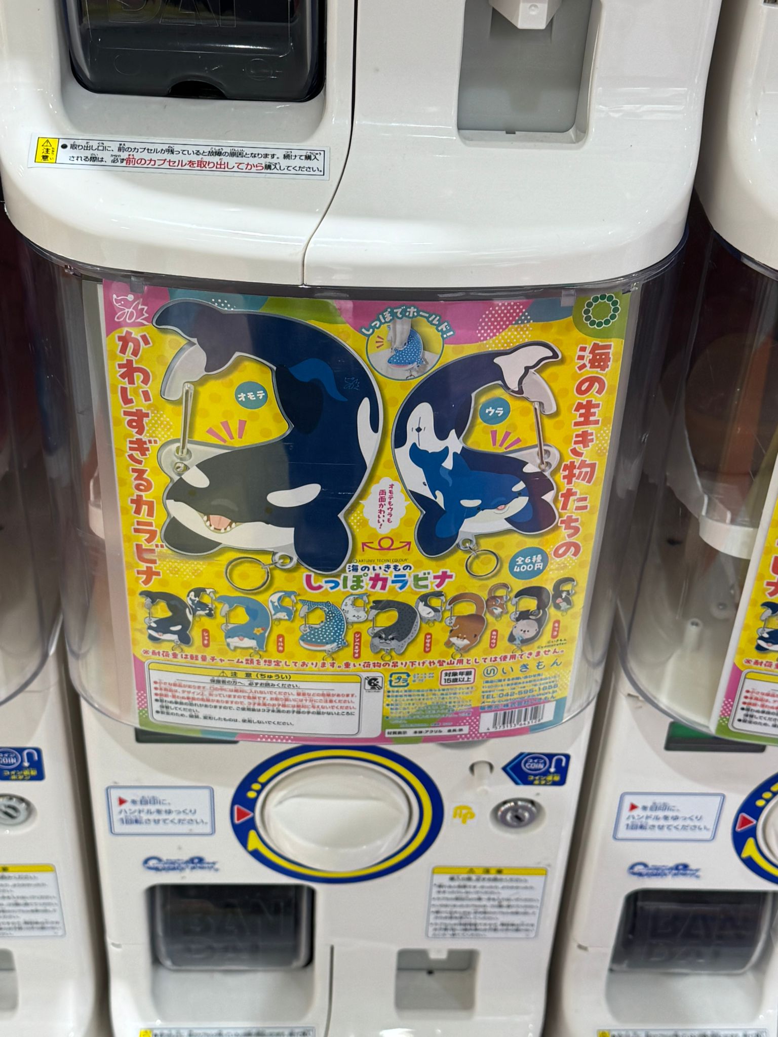 ✨連線商品需補運費✨いきもん 海洋生物尾巴多功能登山扣鑰匙圈扭蛋