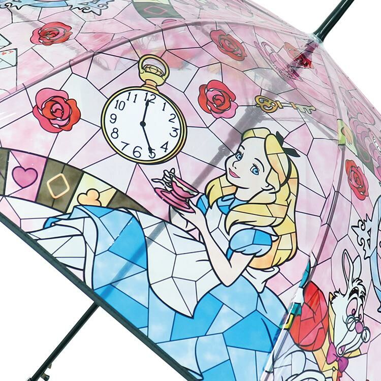 [現貨] [日本直送] 愛麗絲 | 玻璃風長遮 {TF2209081}