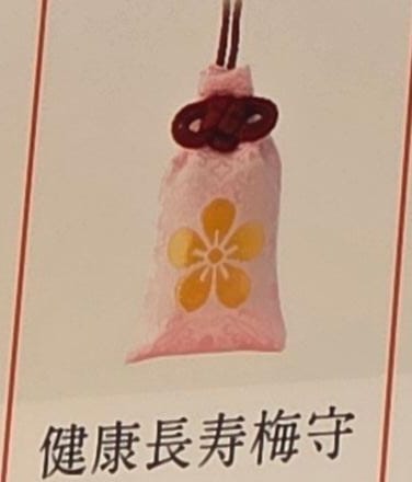 太宰府天滿宮健康長壽梅守