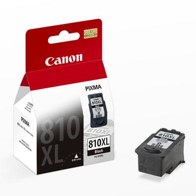 Canon Ink Cartridge PG-810XL (Original)