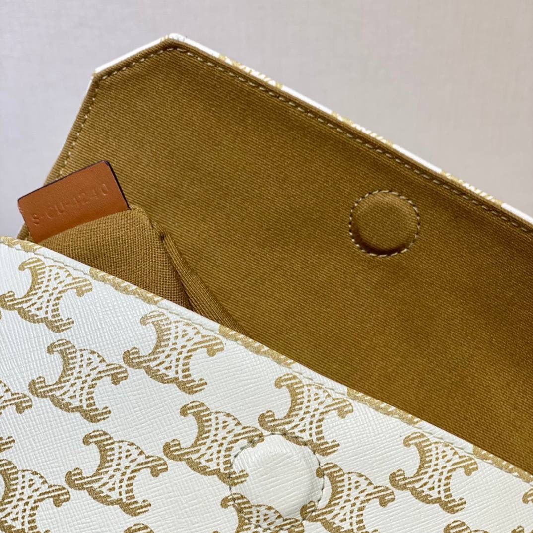 🔥大货实拍图 𝗖𝗘𝗟𝗜𝗡𝗘 ♥ 𝗧𝗥𝗜𝗢𝗠𝗣𝗛𝗘 𝗖𝗔𝗡𝗩𝗔𝗦三角形手袋 𝑪𝒆𝒍𝒊𝒏𝒆2021春夏竟出其不意的玩起了异形包，三角形造型很是别致，彰显不羁姿态，男女同款，吸晴选手✔ 型号：195902 尺寸：21*15*4cm