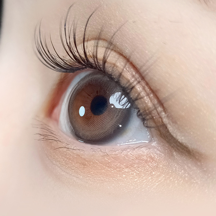 ANN365 - Powdery Brown (1month/2P)