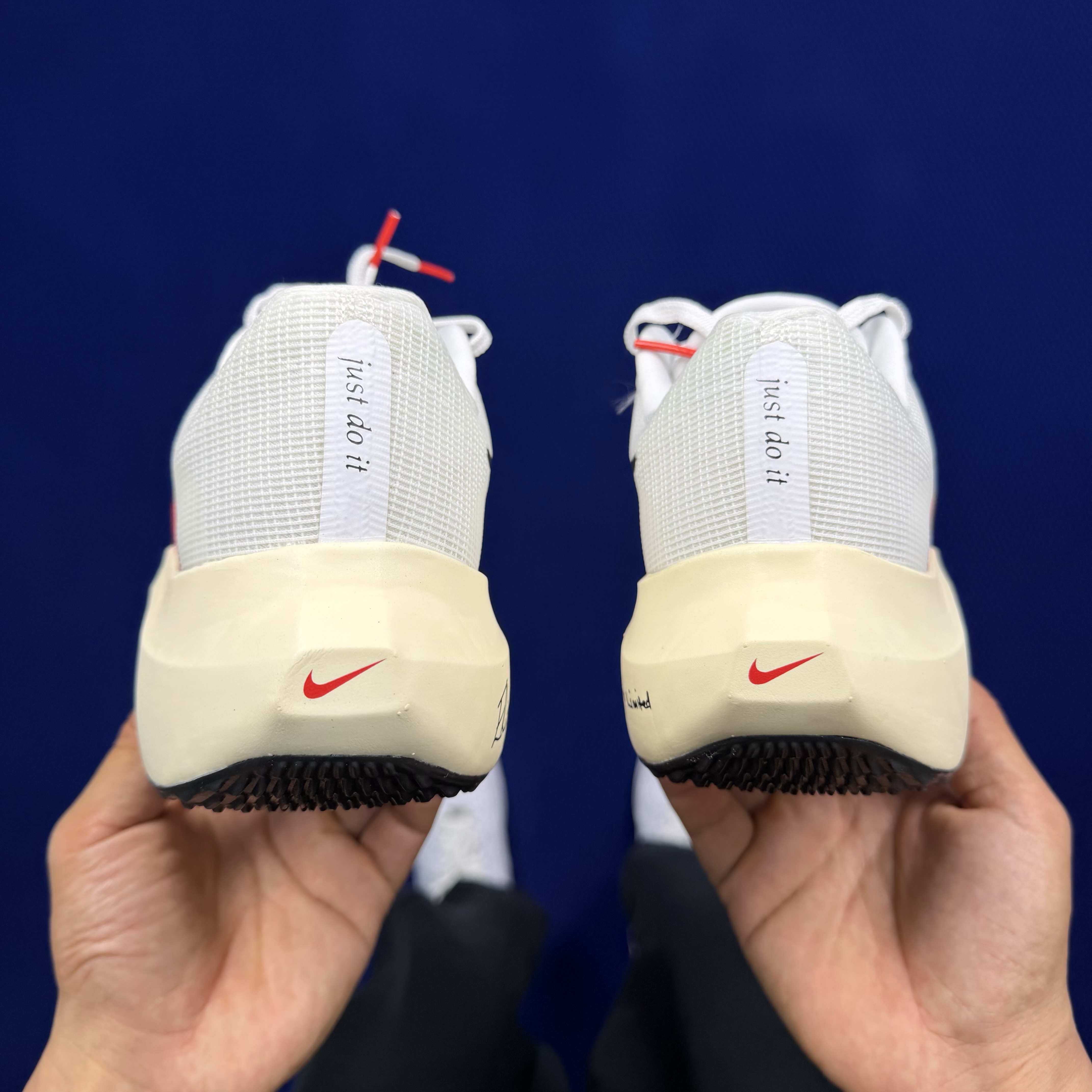 Nike Zoom Fly 5 FD6562-100