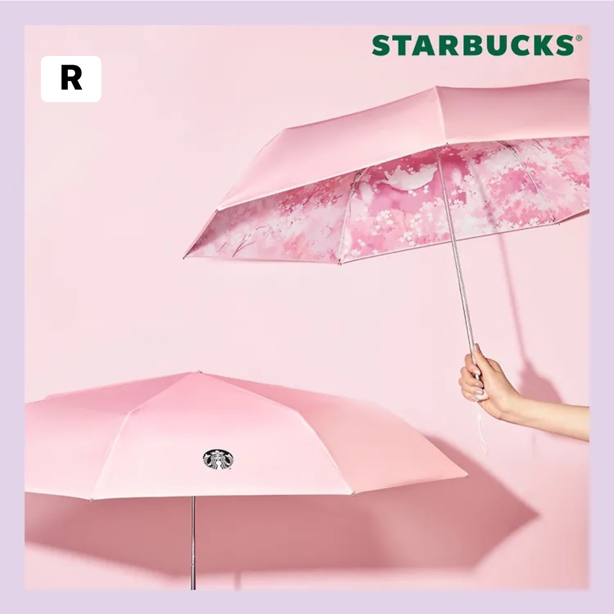 [Starbucks] 2026 櫻花 Bloom into Spring Vibes 系列