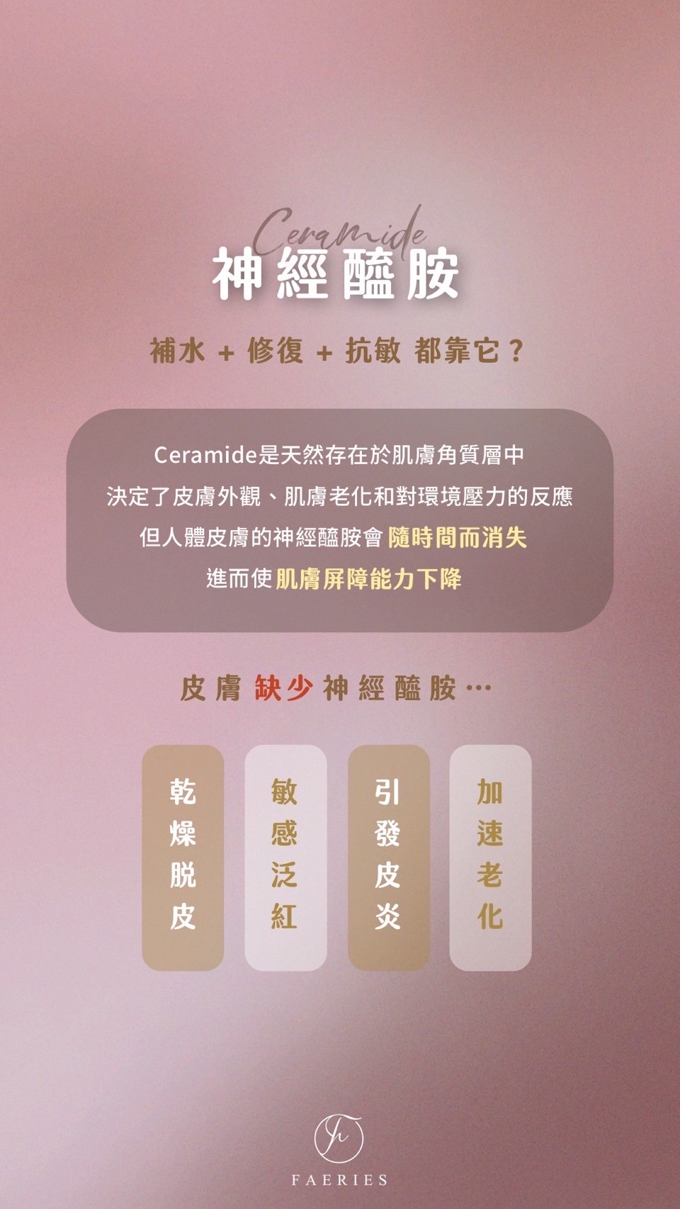 新春限時優惠 即日起至2月26日🧧