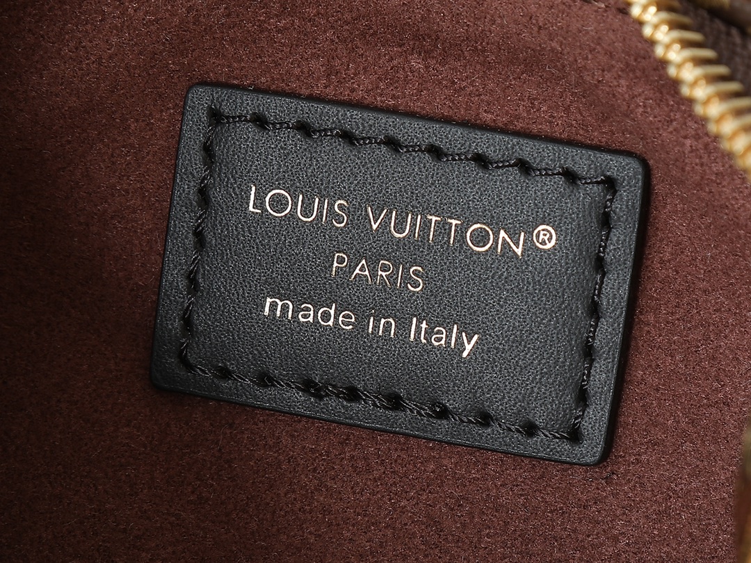 LV Louis Vuitton Catchy PM