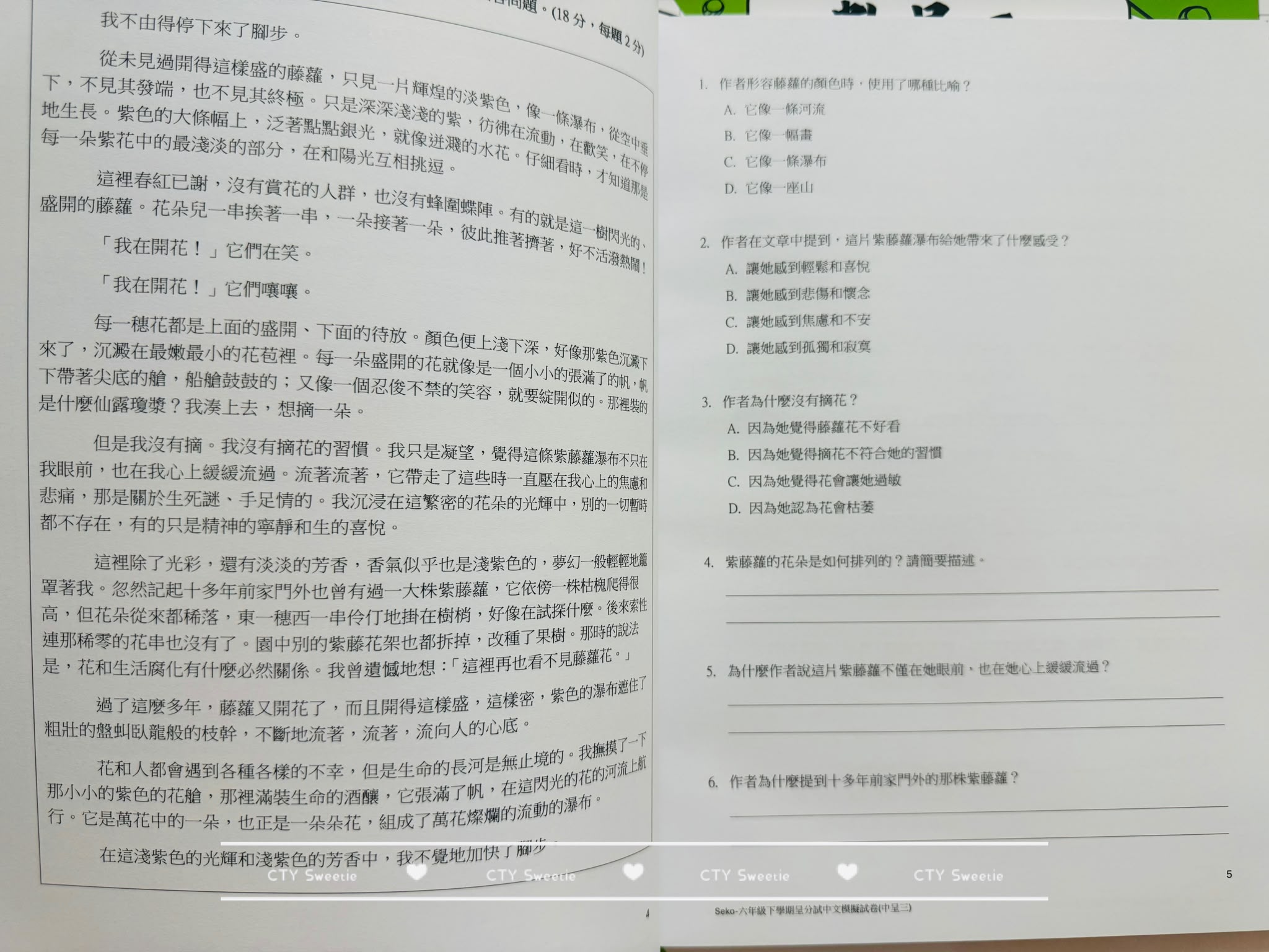 呈分試操卷套餐-中英數呈一二三共9本