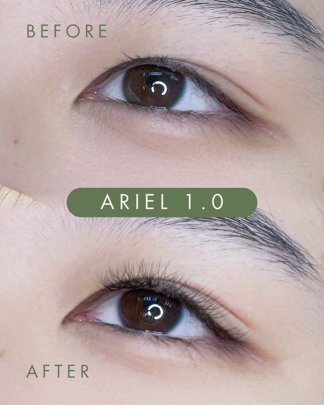 美睫嫁接🧚🏻‍♀️