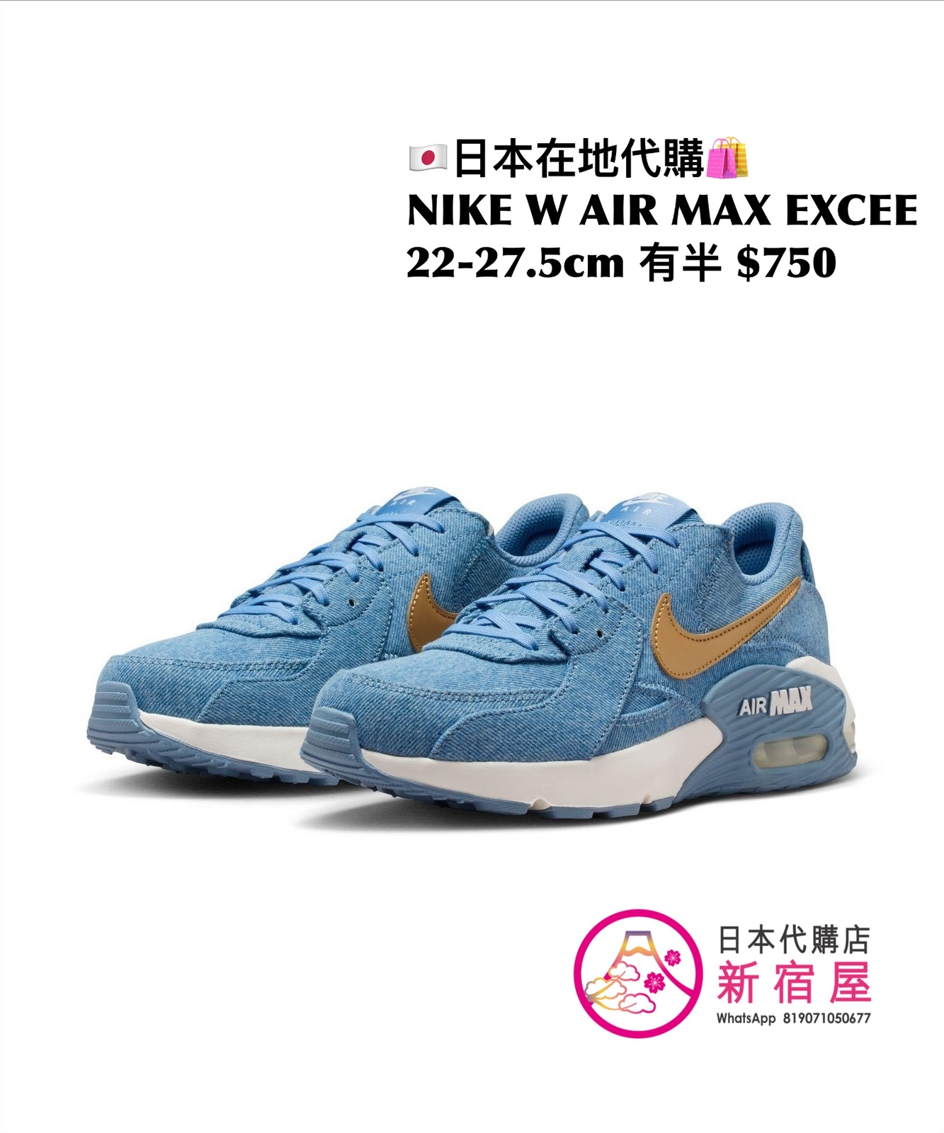 NIKE W AIR MAX EXCEE 