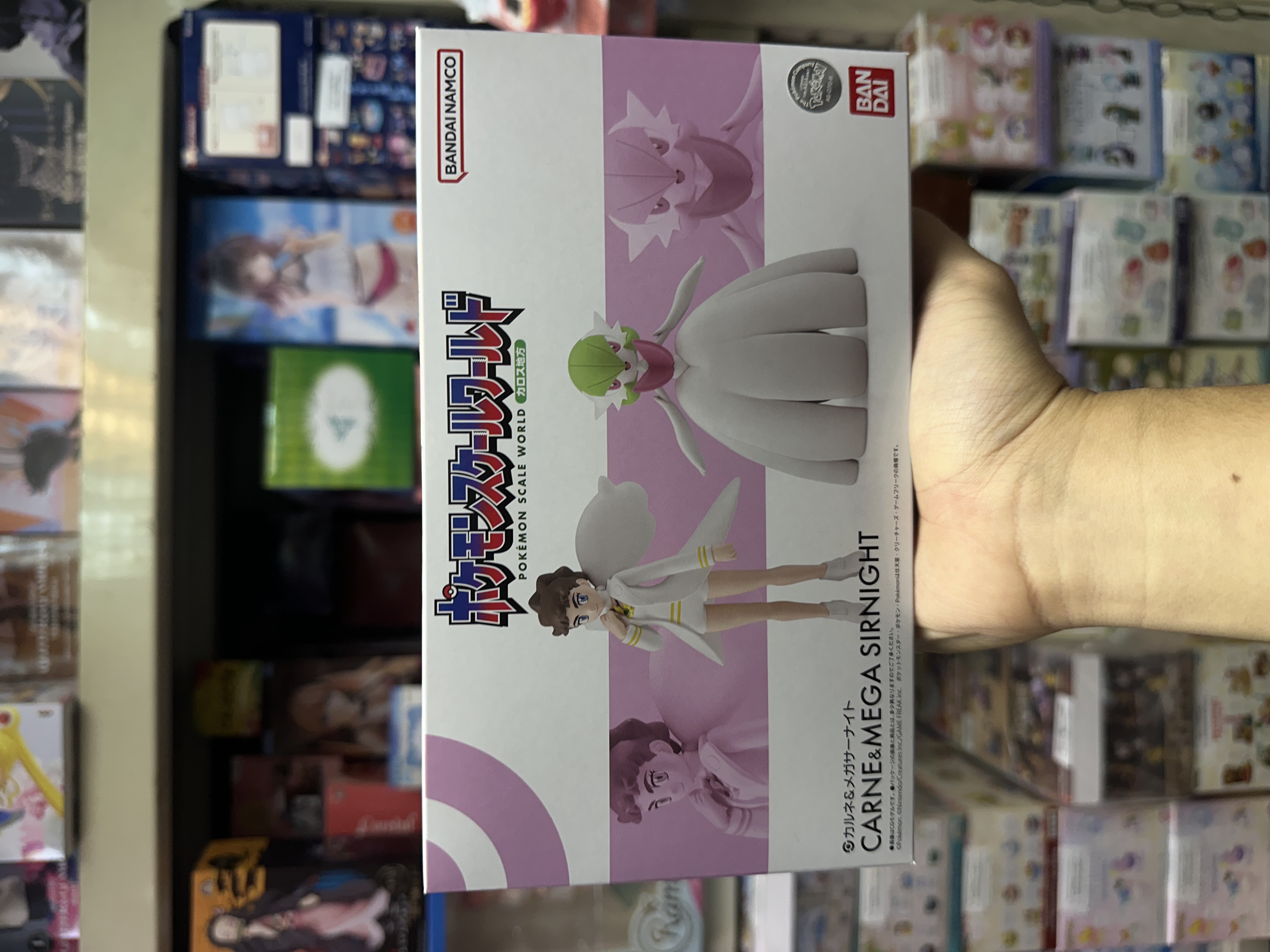 現貨 Bandai 食玩 Pokemon Scale World 卡洛斯地區 卡露妮 Mega 沙奈朵 套裝
