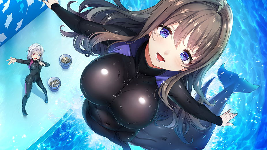 【預售 3/9】NS Days Collection: 女忍者戀愛二部曲 / Days Collection: NinNin Heroines 中/英/日文  (中文封面) NSW-4017