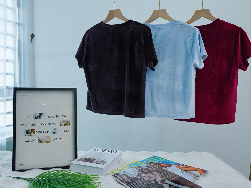 Velvet-Texture Short Sleeve Top with Seam Detail ‖ 丝绒质感拼接短袖上衣 KR01162679