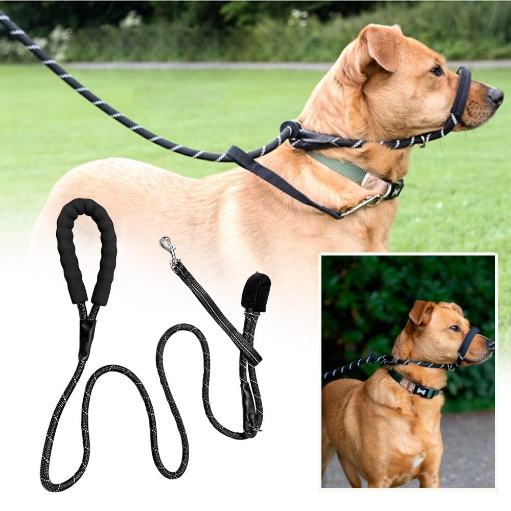 一體式狗嘴套牽引繩 200*1.0CM 黑色 UB0272