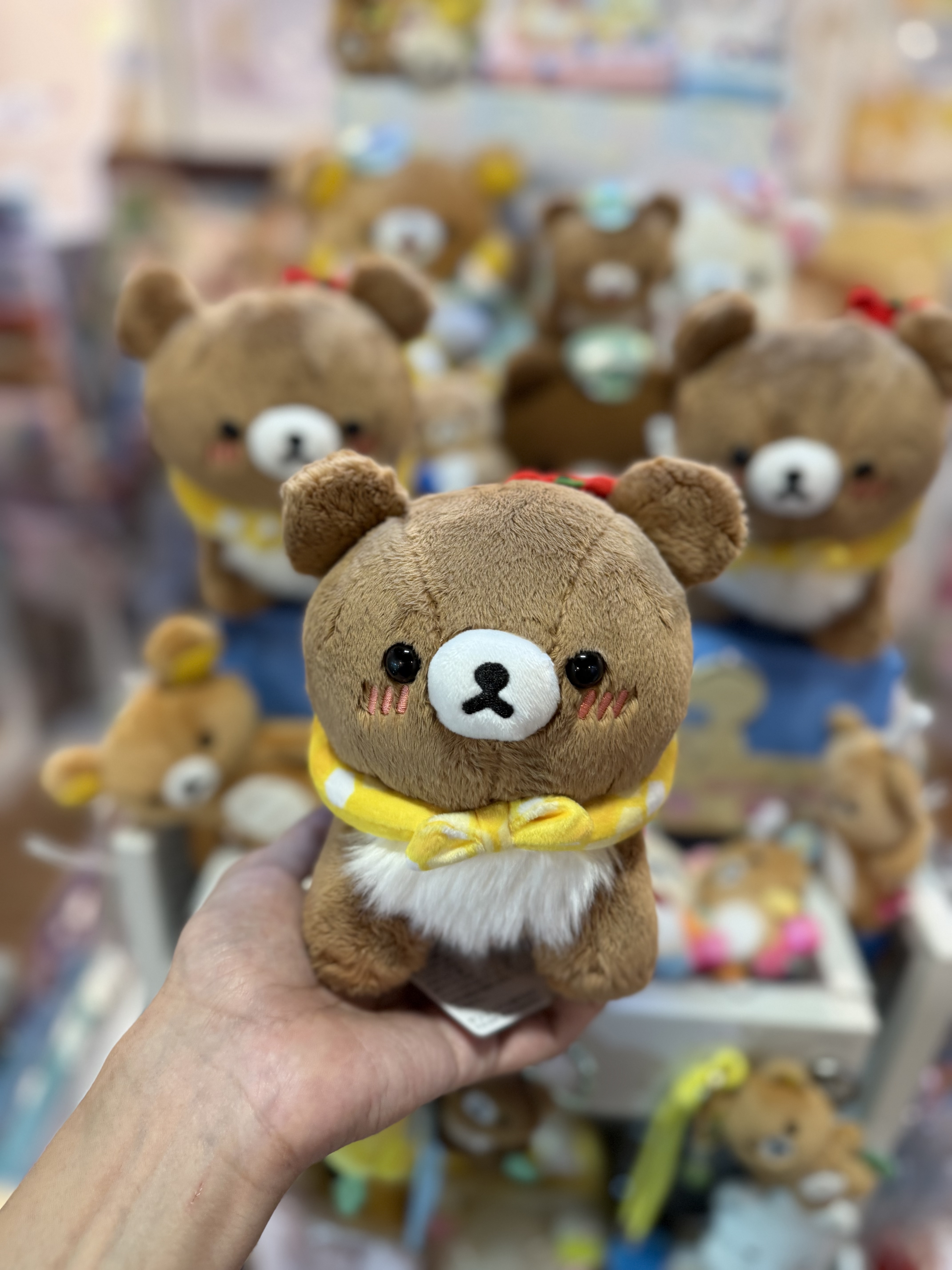 《現貨》全新日本小熊10週年紀念巡迴pop up店限定小熊探險隊系列爬爬公仔