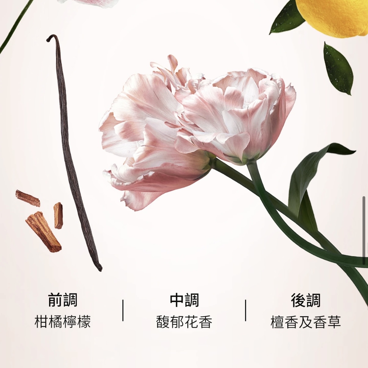 KERASTASE Gloss Absolu Hydra-Glaze 卡詩 釉光玫瑰浴髮乳 250ml