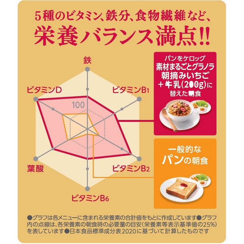 Kellogg's 日本家樂氏草莓穀物早餐 430g  Exp Date : 2027.02