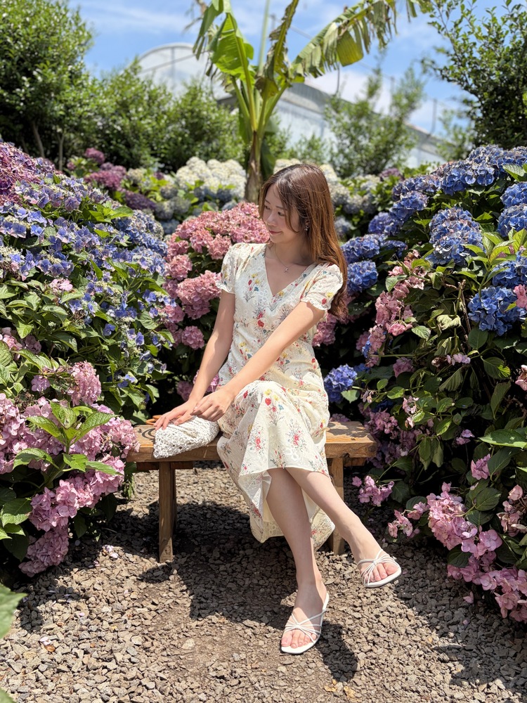Premium Embroidered Floral Dress