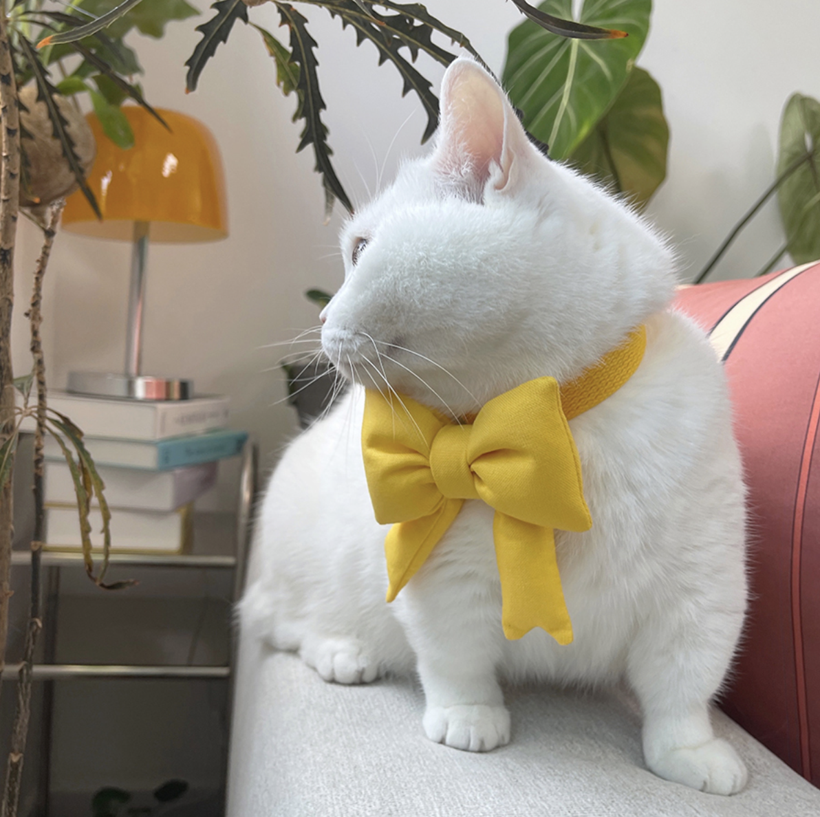 韓國🇰🇷 handmade 蝴蝶結頸帶