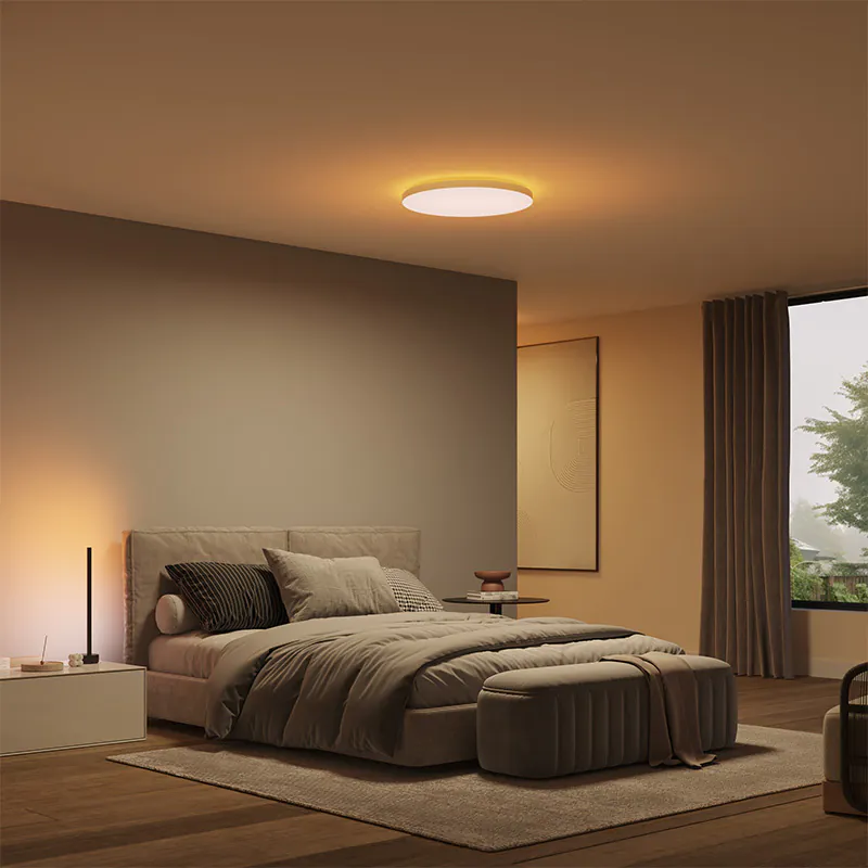 [飛利浦直送 原裝行貨2年保養] 飛利浦 Hue Datura S 圓形吸頂面板燈 – 小尺寸智能 LED 燈 可調光可調色溫 48W