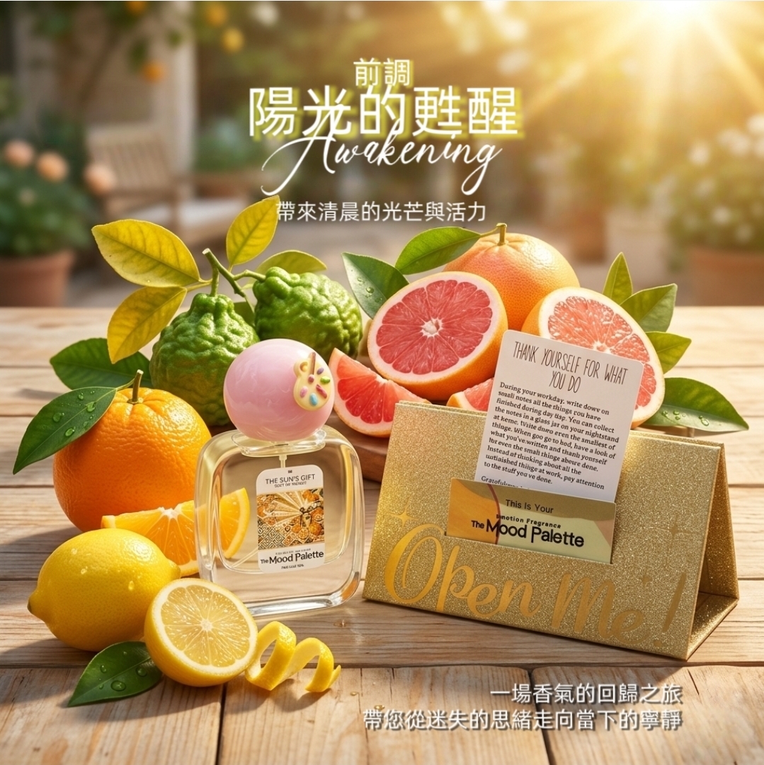 08 The Sun's Gift 陽光的禮物