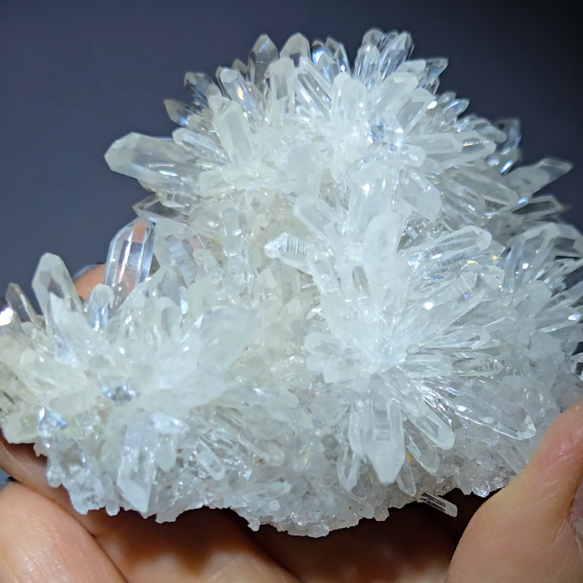 Chrysanthemum needle quartz with floral blooms, rainbows - CQ474