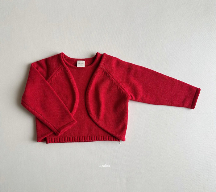 🇰🇷azalea背心+外套