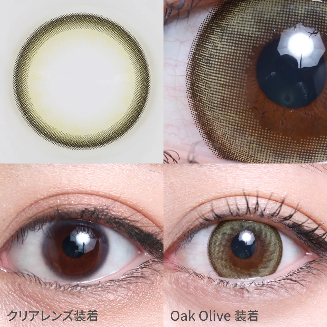 TeAmo - Melt Kiss Oak Olive (1day/10P)