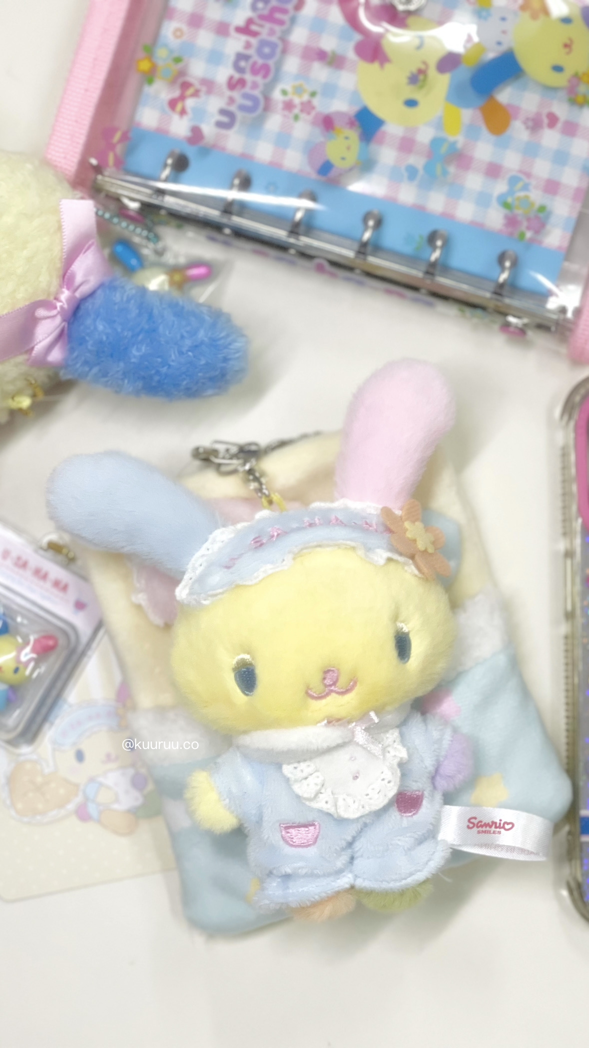 現貨｜地區限定 Usahana眼訓公仔連床仔吊飾💤