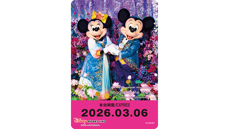 預訂 東京迪士尼樂園限定 車飛