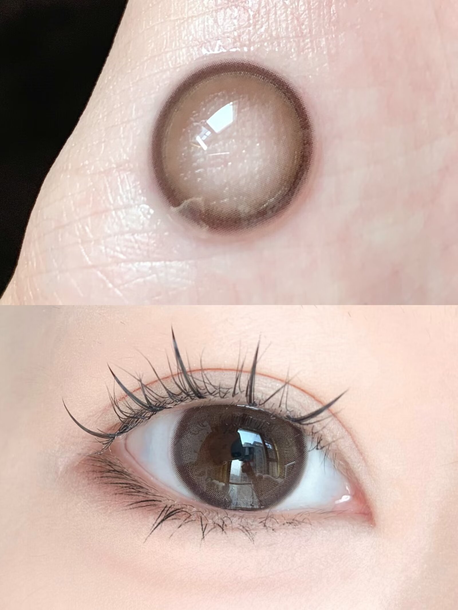 300度現貨 Woolilens半年拋 花田烏龍