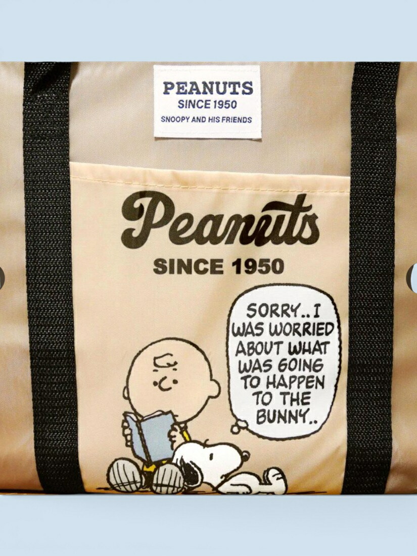 🆕【⭐訂購⭐】🇯🇵日本直送 🌀#Snoopy 保冷保溫購物籃（附底板）［3款選］🌀[ELCD-0178][260430]