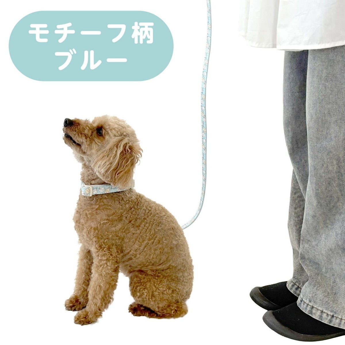 🌸 【預訂】Chiikawa 小型犬用 狗帶 